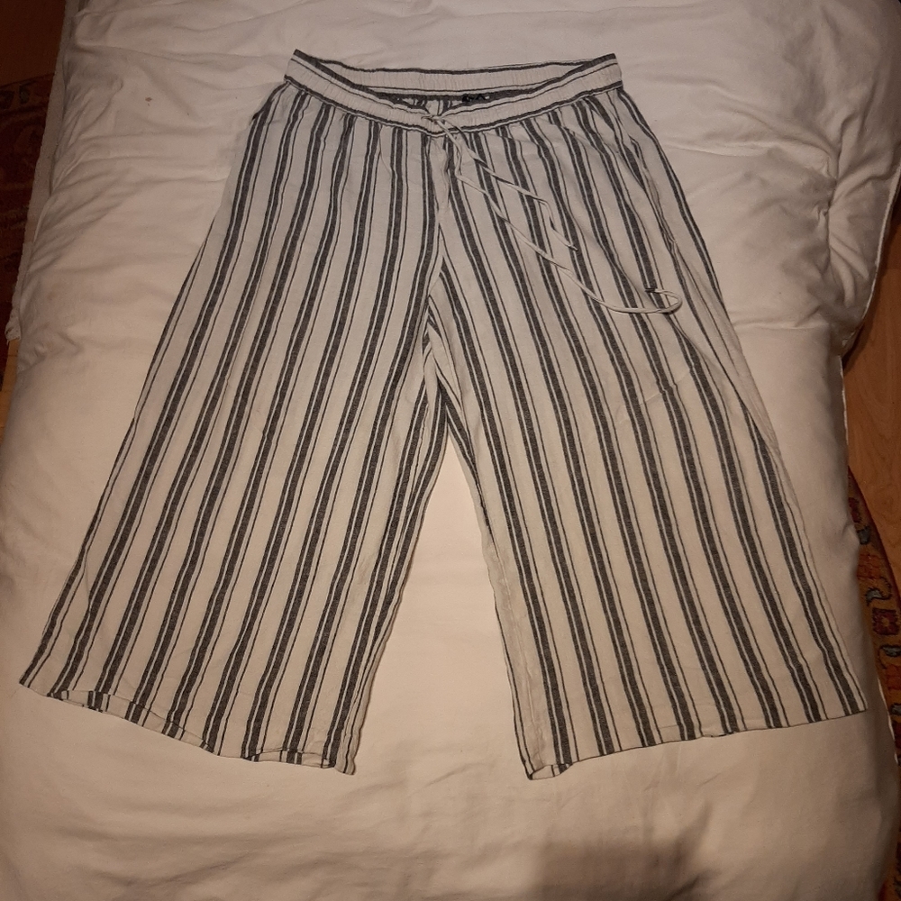 Chaps Plazo Pants